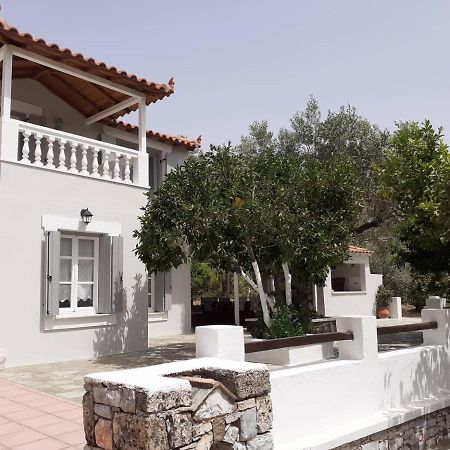 Panormos  Villa Tillia מראה חיצוני תמונה