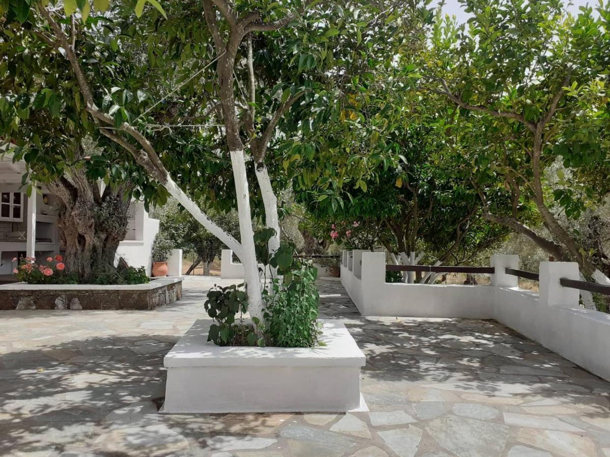 Panormos  Villa Tillia מראה חיצוני תמונה