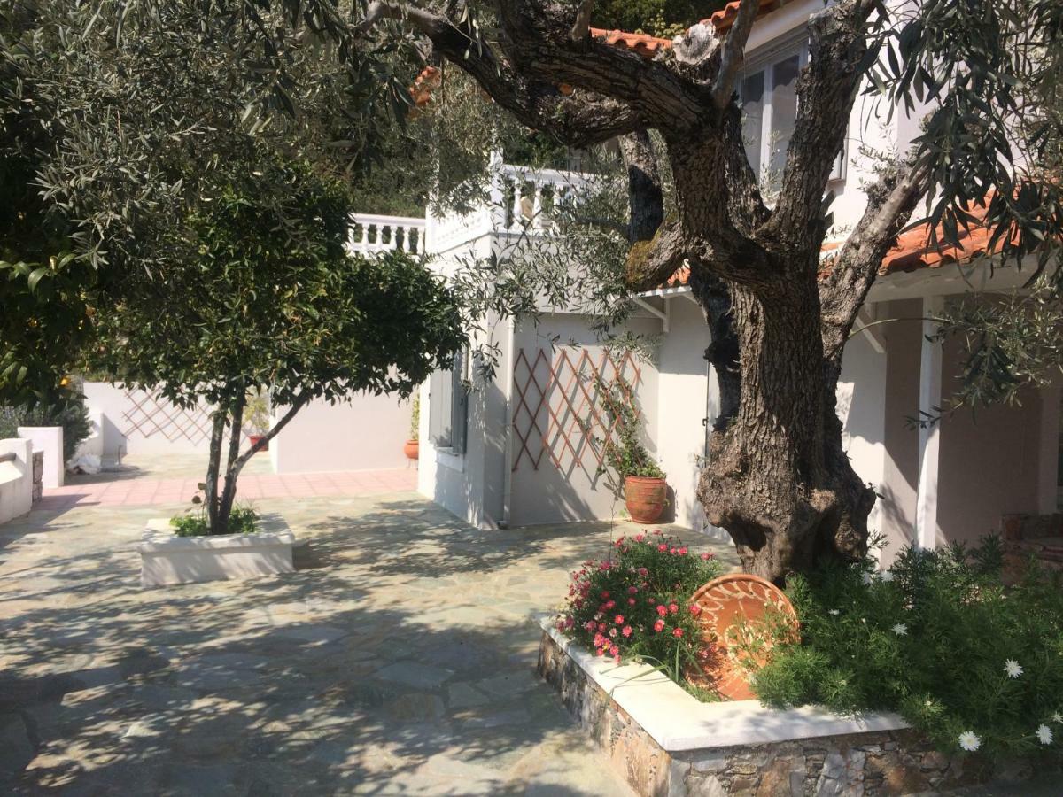 Panormos  Villa Tillia מראה חיצוני תמונה